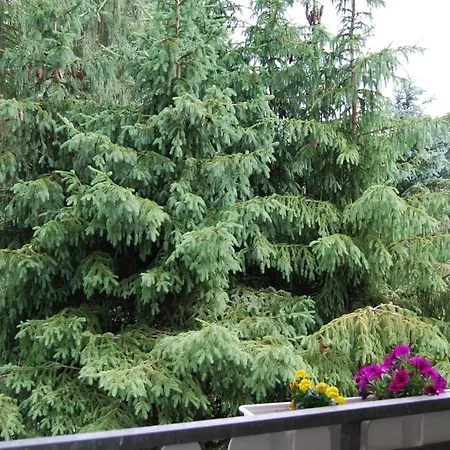 Apartment Kuenstler Der Region * Лихен